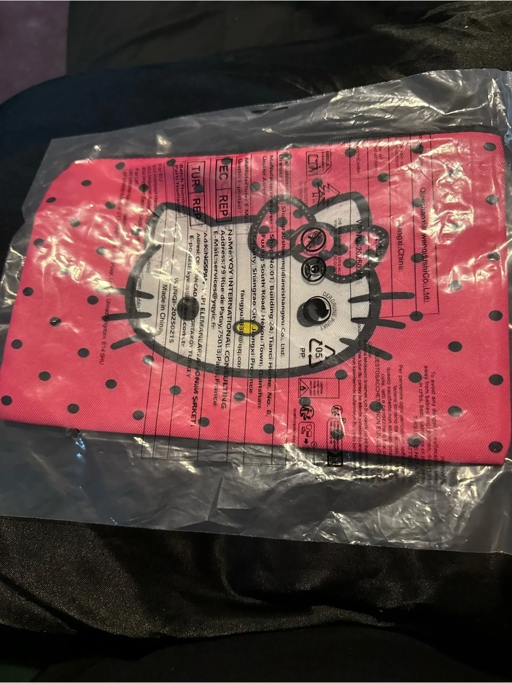 Hello Kitty Makeup Bag